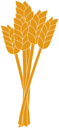 Wheat Clip Art - Wheat Clip Art Png (600x535)
