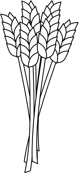 Wheat Clipart Black And White (318x600)