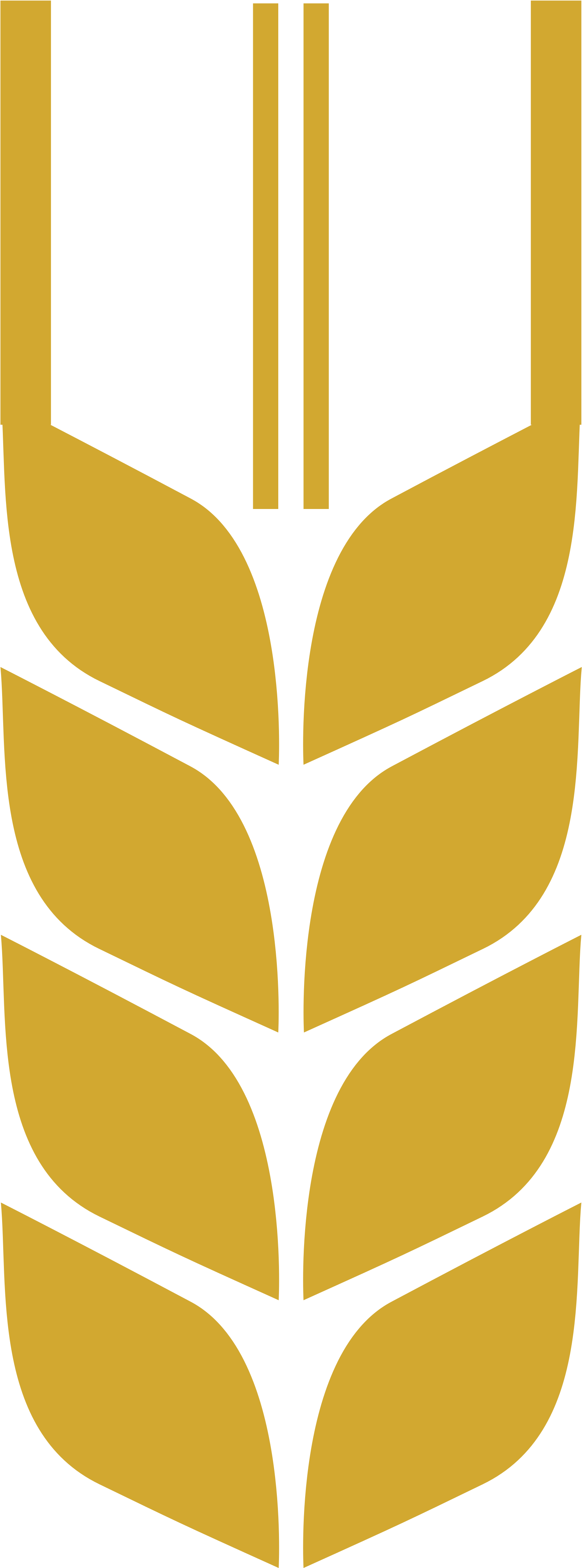 Open - Wheat Vector In Png (2000x4571)