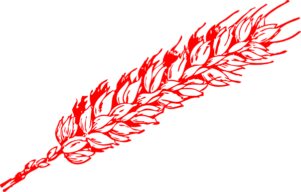 Wheat Clip Art (600x383)