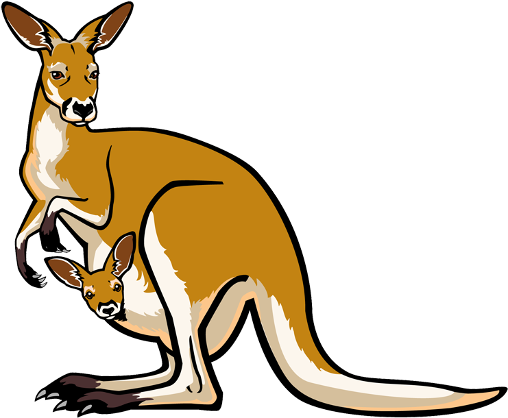 Kangaroo Clip Art - Kangaroo Images Clip Art (750x622)