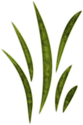 Grass - Landscape Lighting (512x512)