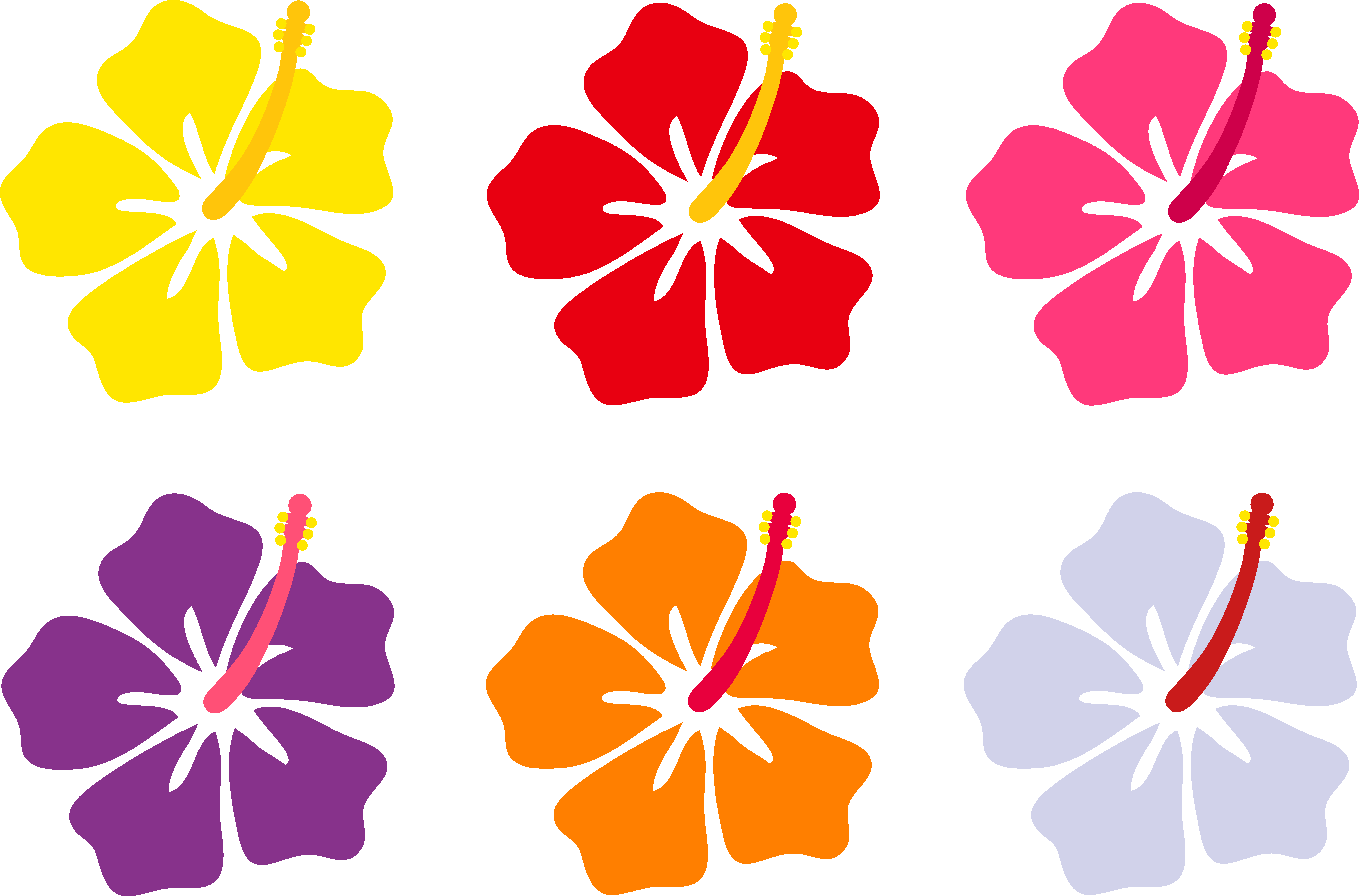Cartoon - Cartoon Hawaiian Flowers (8230x5425)