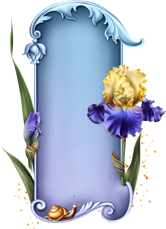 Placute - Scrapbooking (582x800)