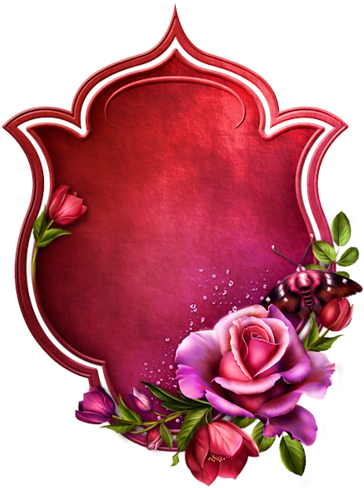 Скрап Набор "ttd-raspberrysplashkit" 1 - Picture Frame (380x500)