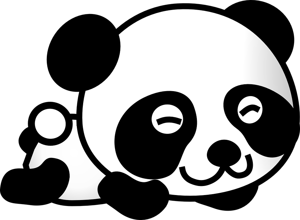 Cute Couple Panda Cartoon - รูป การ์ตูน หมี แพนด้า (960x705)