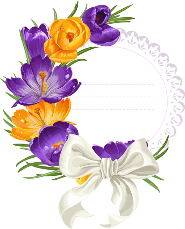 Clipart Krokusse Blüten (828x1024)