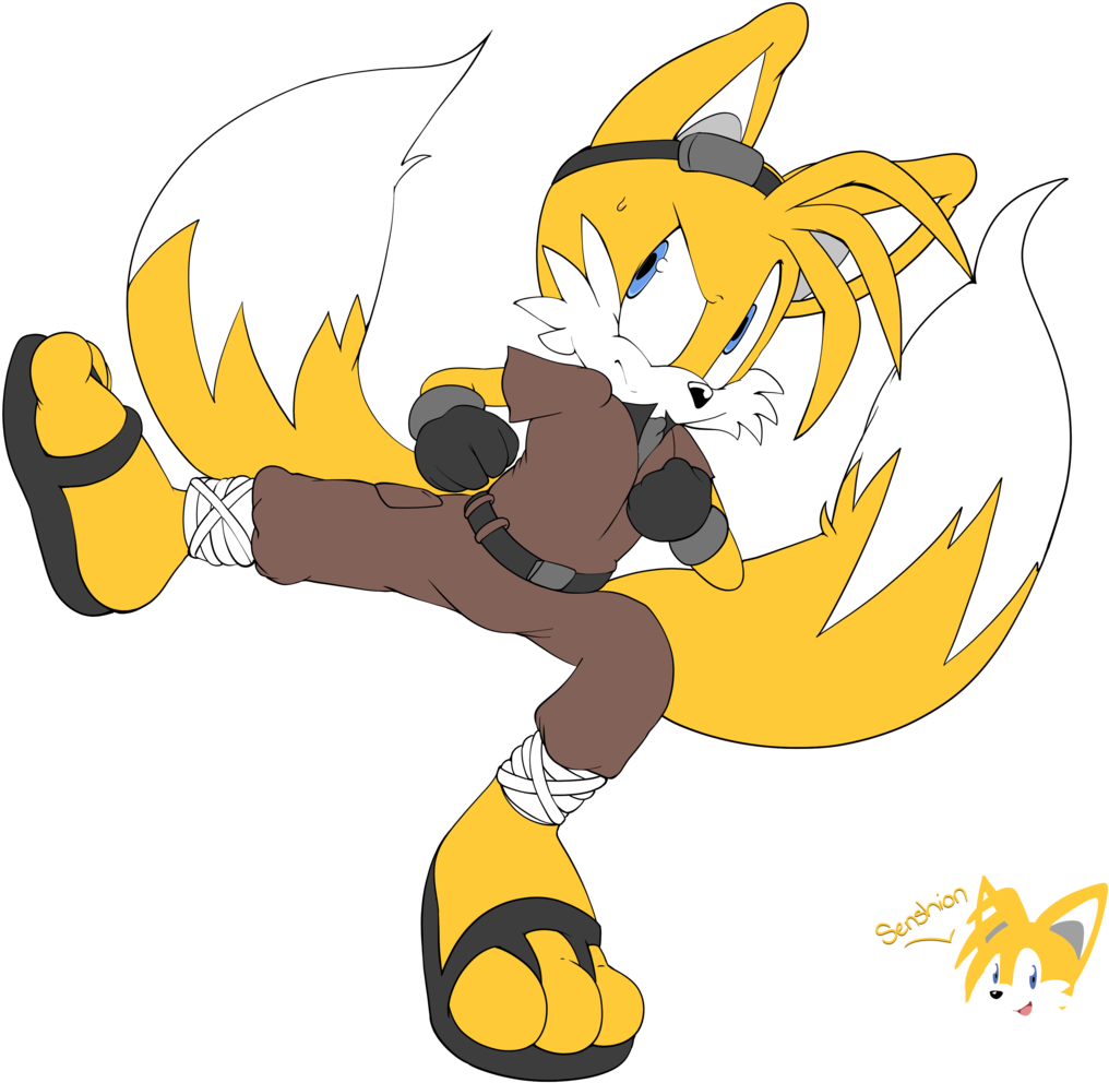 Kung Fu Tails By Senshionart Kung Fu Tails By Senshionart - Kung Fu Sonic (1024x1000)