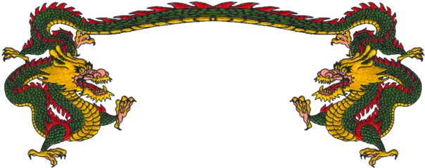 Twin Dragon Kung Fu Of Wakefield / Sanbornville Nh - Dragon Kung Fu Png (625x269)