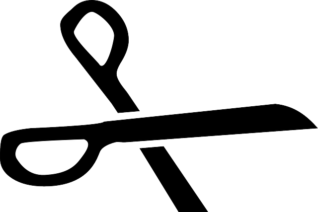 White Black, Icon, Scissors, Symbol, Silhouette, White - Scissors Clip Art (640x427)