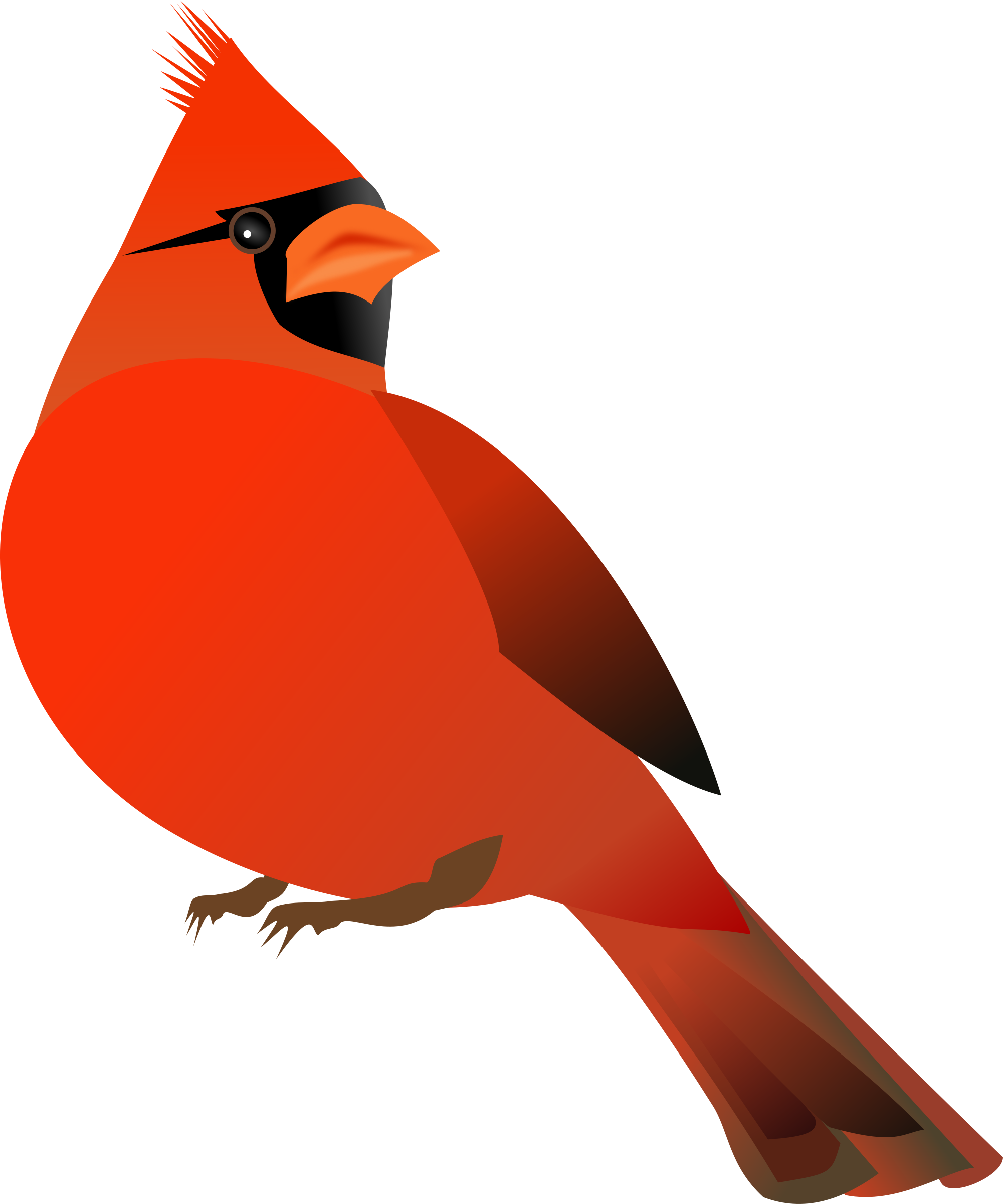 Red Cardinal Clip Art - Note Cards (pk Of 20) (2001x2400)