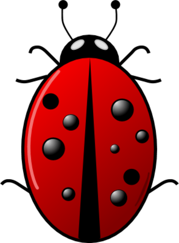 Free Ladybug - Red Bug Insect (1766x2400)