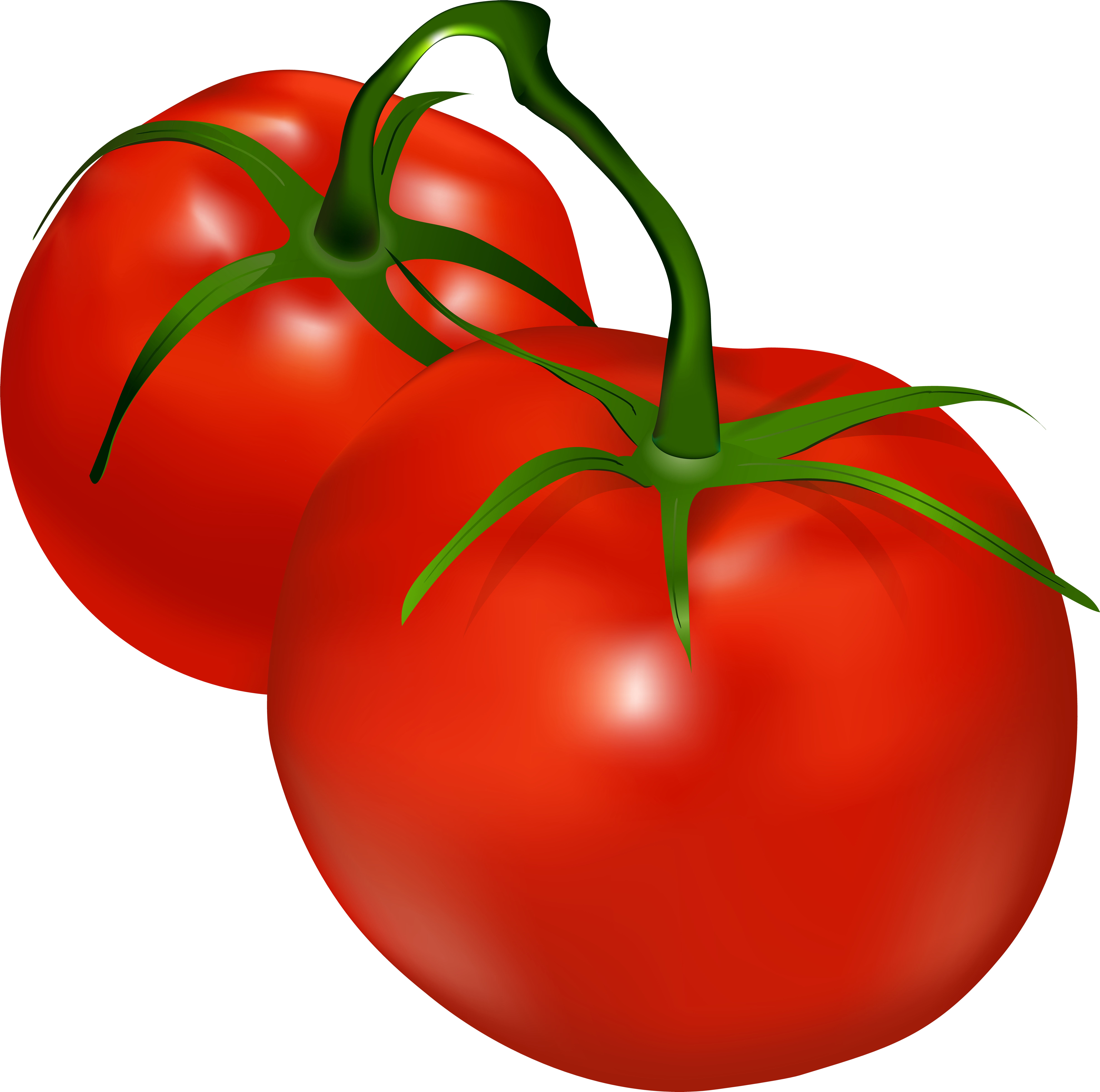 Tomatoes Transparent Png Clip Art - Tomatoes Transparent Png Clip Art (8000x7942)