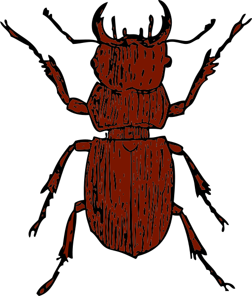 Stag Beetle Png Images - Stag Beetle Clipart (512x600)