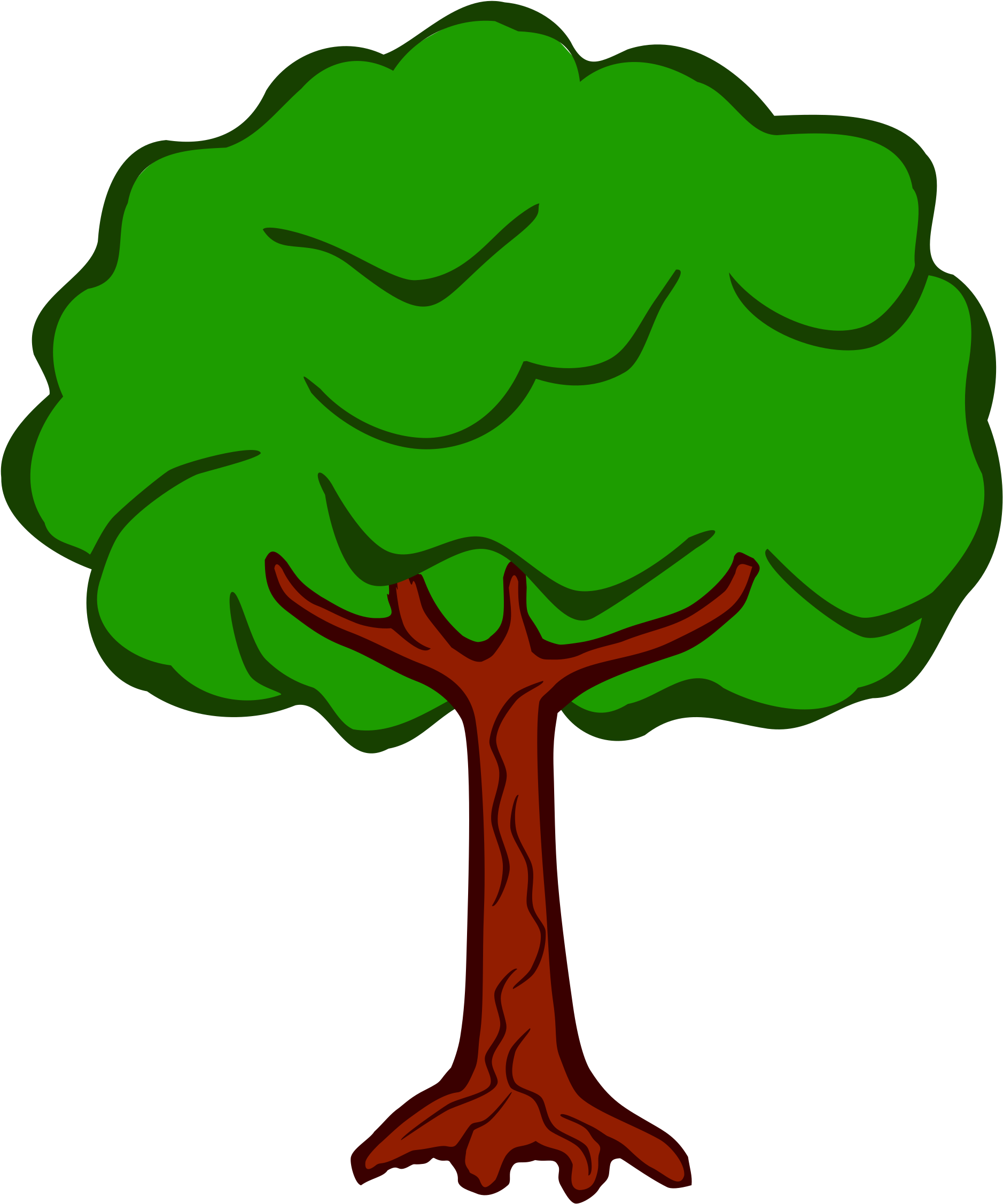 Clipart Baum - Tree Coloured (2024x2400)