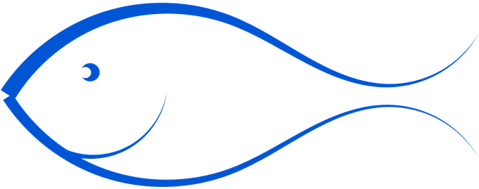 Fisch Marin Meer Blau Schwimmen Ozean Läch - Imagens De Peixe Em Png (680x340)