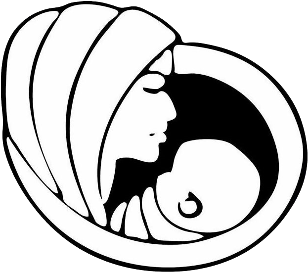 School Logo - St Mary School Ei Logo (645x582)