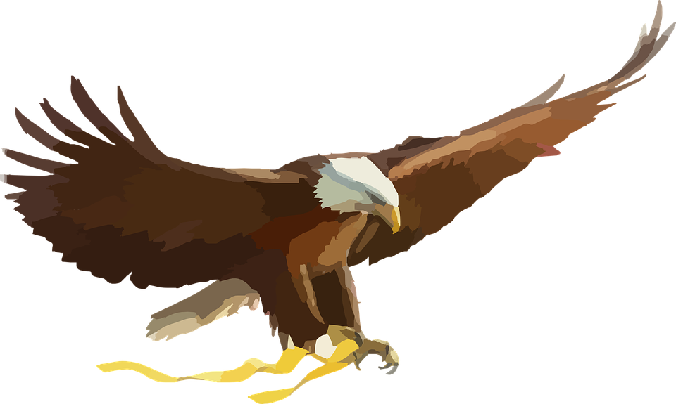 Golden Eagle Clipart Elang - American Flag With Eagle (960x575)