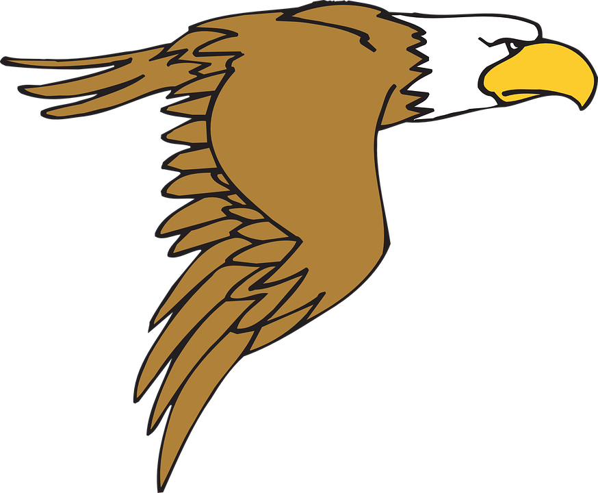Golden Eagle Clipart Elang - Cartoon Eagle Flying (874x720)