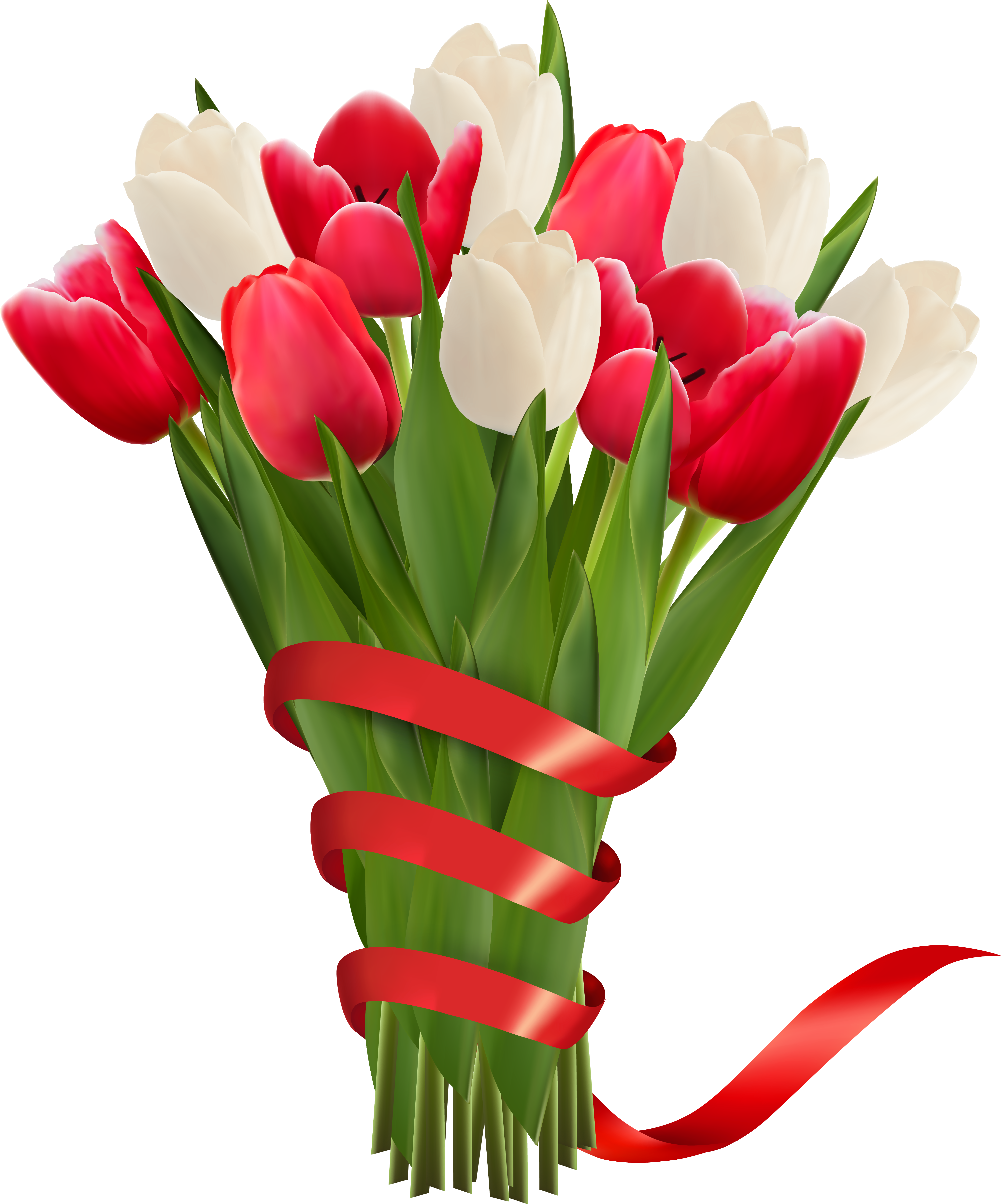 White And Red Tulips With Ribbon Png Clipart Image - Bunch Of Flowers Clipart (5244x6307)