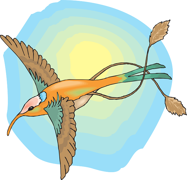 Feathers Sun, Sky, Bird, Wings, Hummingbird, The, With, - Sun And Birds Png Clipart (640x615)
