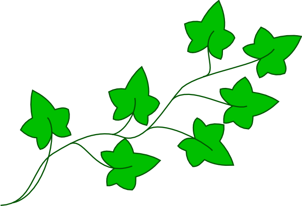 Ivy Vine Clip Art At Clker Com Vector Clip Art Online - Cartoon Poison Ivy Plant (600x410)