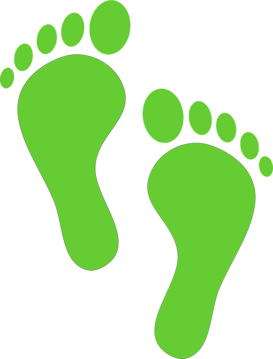 Images Of Footprints - Footprint Clipart (547x720)