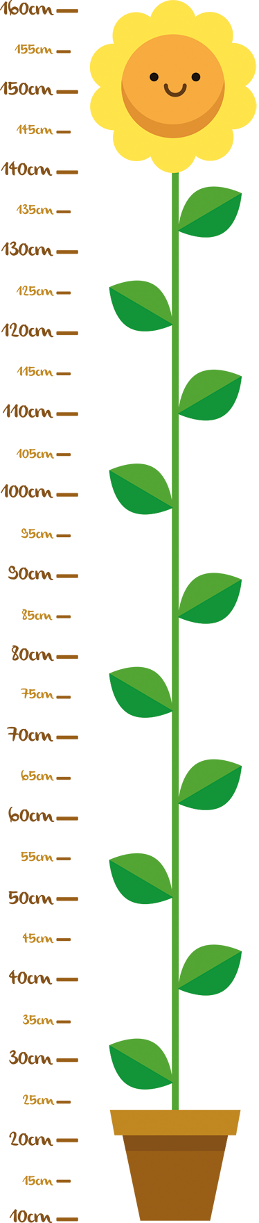 Medidor De Altura Infantil Png (374x1760)