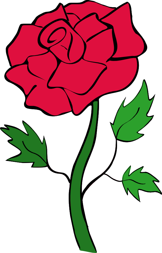 Rosered - Rose Picture Clip Art (566x880)
