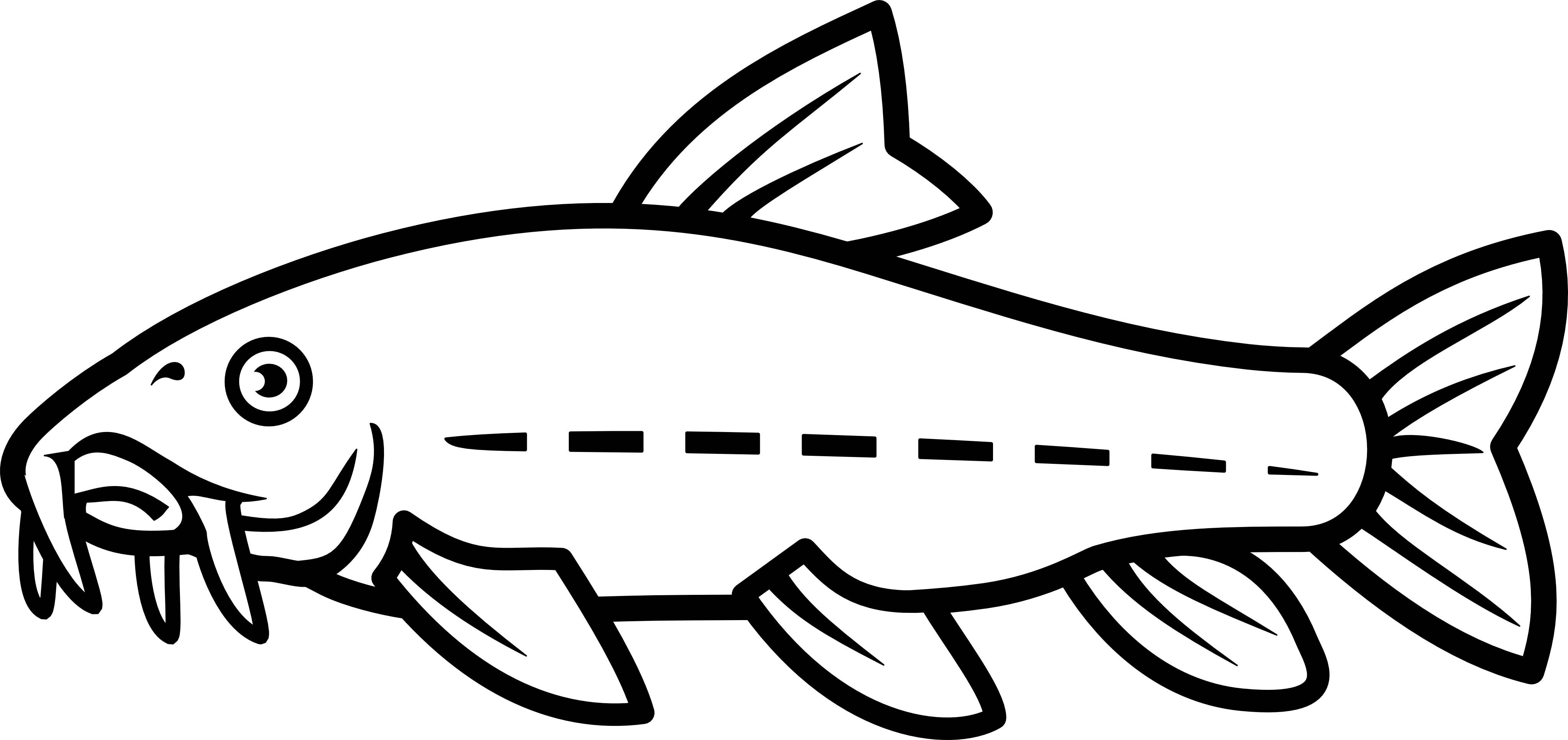 Catfish Vector By Nico-e - Catfish Line Drawing (4096x1932)