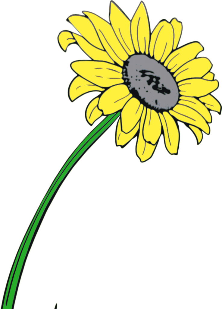 Schreibe Einen Kommentar Antworten Abbrechen - Sunflower (751x1024)