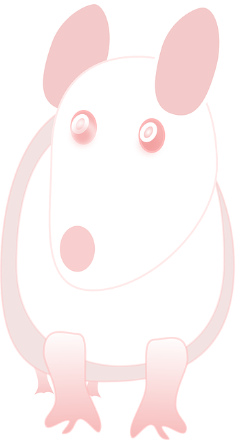 Mouse Albino, Lab, Laboratory, Rat, Science, White, - Laboratory Rat (342x640)