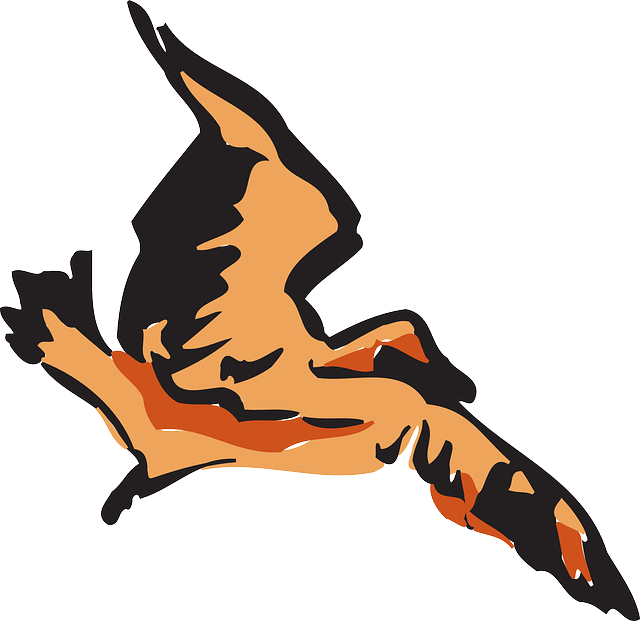 Fly Brown, Bird, Flying, Wings, Art, Feathers, Fly - Bird (640x621)