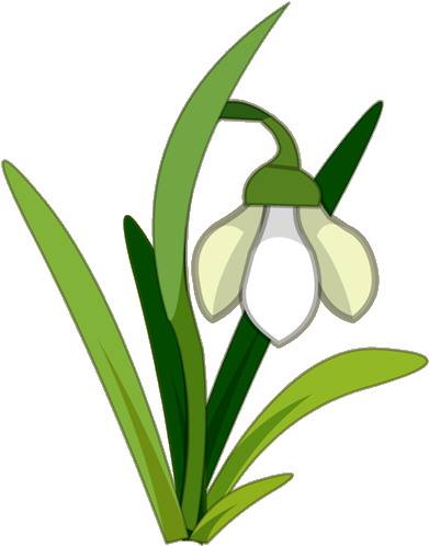 Snowdrops Clipart - Snowdrops Clipart (500x500)