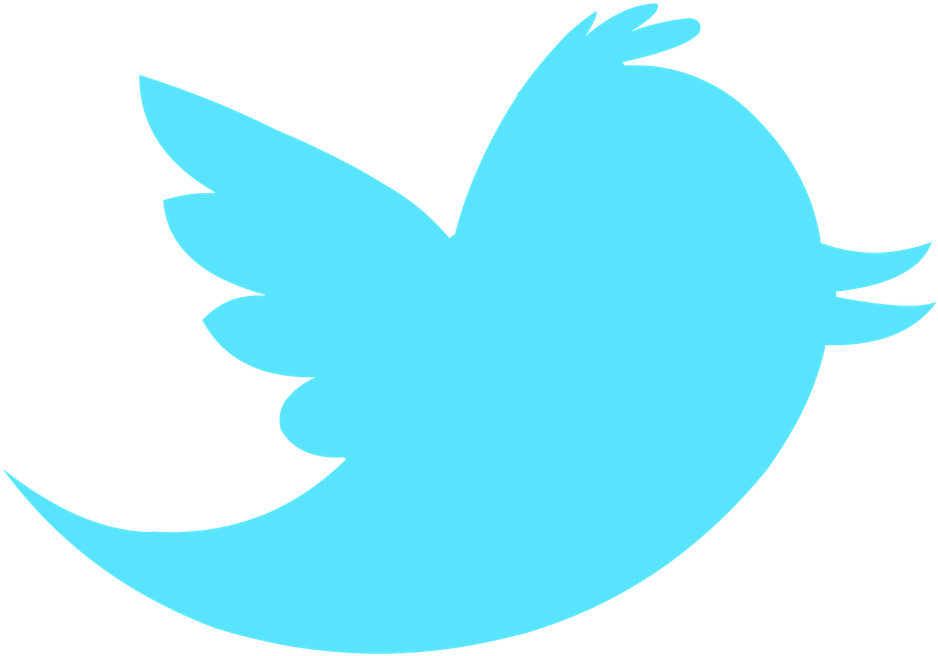 Follow On Twitter - Twitter Bird Logo Transparent Background (1108x828)