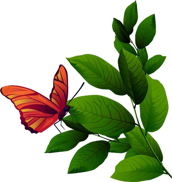 Papillons - Tree (594x629)
