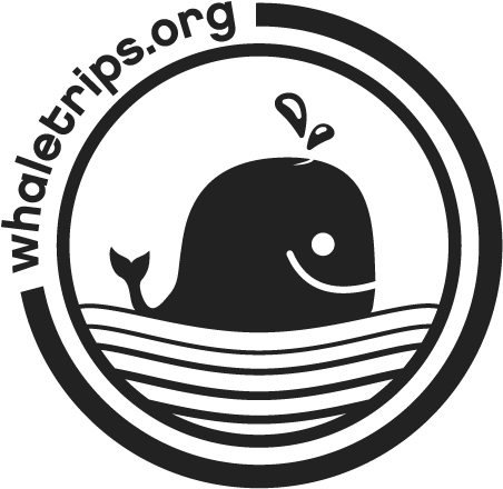 Logo - 37.5°c No Namida (500x500)