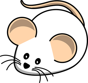 Maus Weiße Maus Feld Tier Ratte Säugetier - White Mouse Clip Art (504x480)
