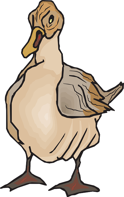 Feathers Brown, Duck, Wings, Art, Feathered, Feathers - Clip Art (403x640)