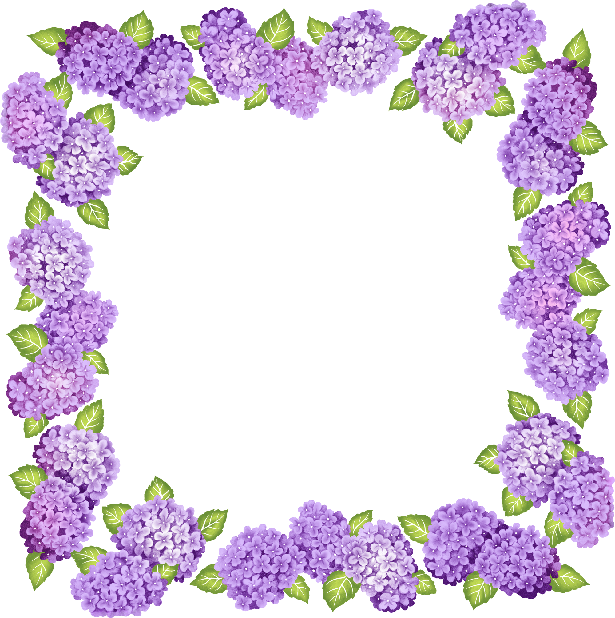 Transparent Frame Clipart - Transparent Purple Flower Border (2000x2009)