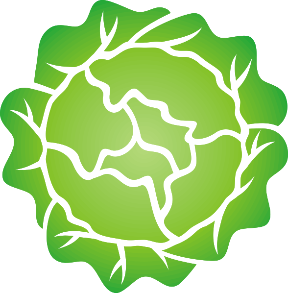 Iceberg Lettuce Salad Leaf Vegetable Clip Art - Iceberg Lettuce Salad Leaf Vegetable Clip Art (588x598)