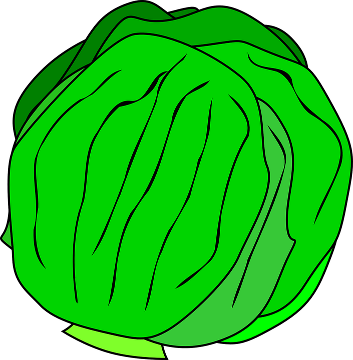 Free Vector Whole Lettuce Clip Art - Kinds Of Vegetables Clipart (705x720)