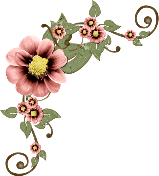 Láminas Vintage,antiguas,retro Y Por El Estilo - Flores Para Decoupage (800x800)