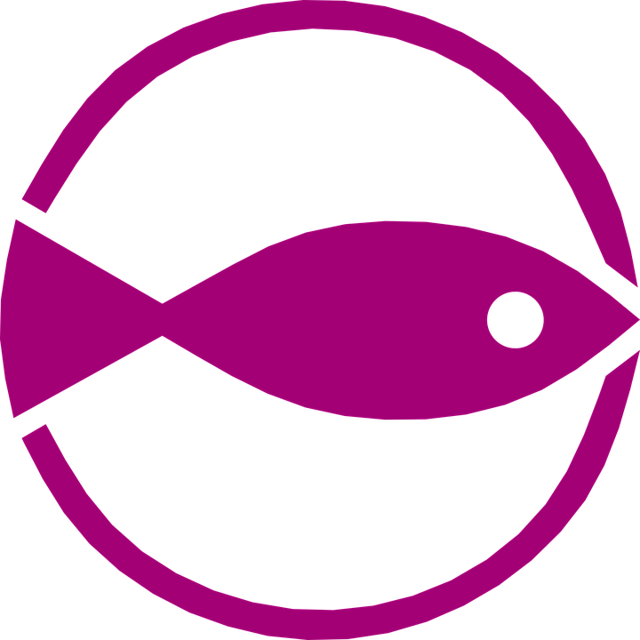 Codes For Insertion - Simbolo De Pesca (720x720)