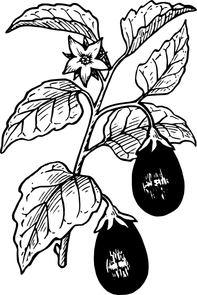 Free Vector Eggplant Clip Art - Eggplant Plant Black And White (396x593)