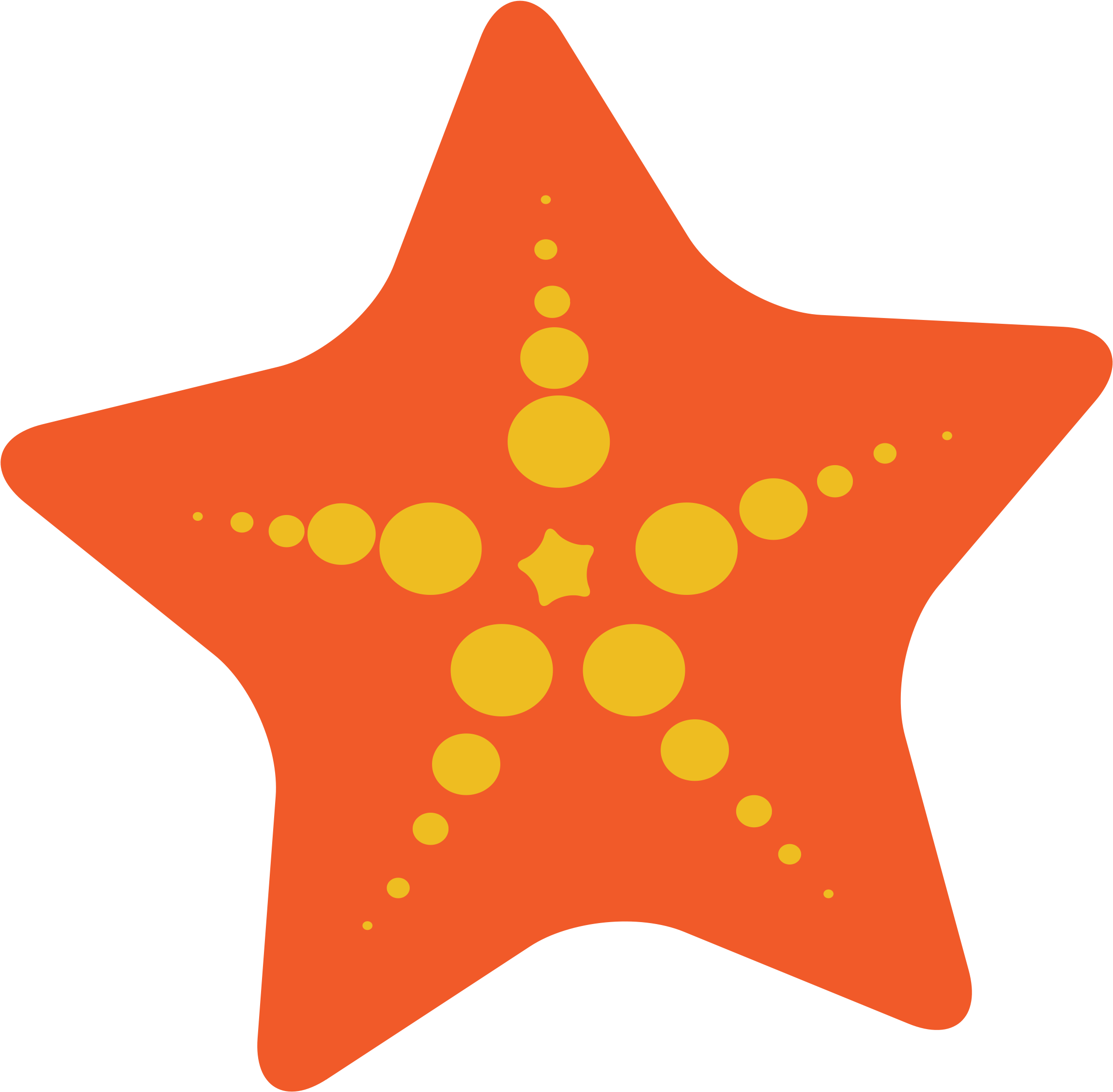Cute Starfish Clipart - Sea Star Clip Art (2400x2333)