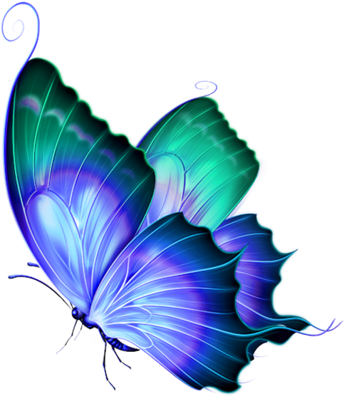 Belated Happy Birthday, Titli Baisa - Deviantart Butterfly Png (511x600)