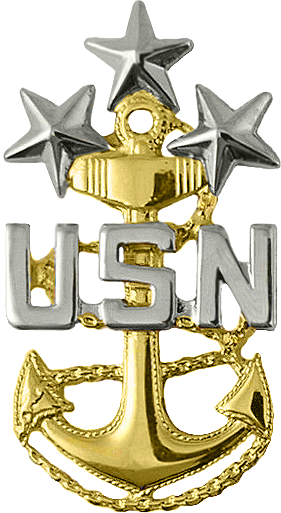 Perched Eagle, A Gold Star In Place Of Specialty Mark, - Command Master Chief Collar Device (575x1049)