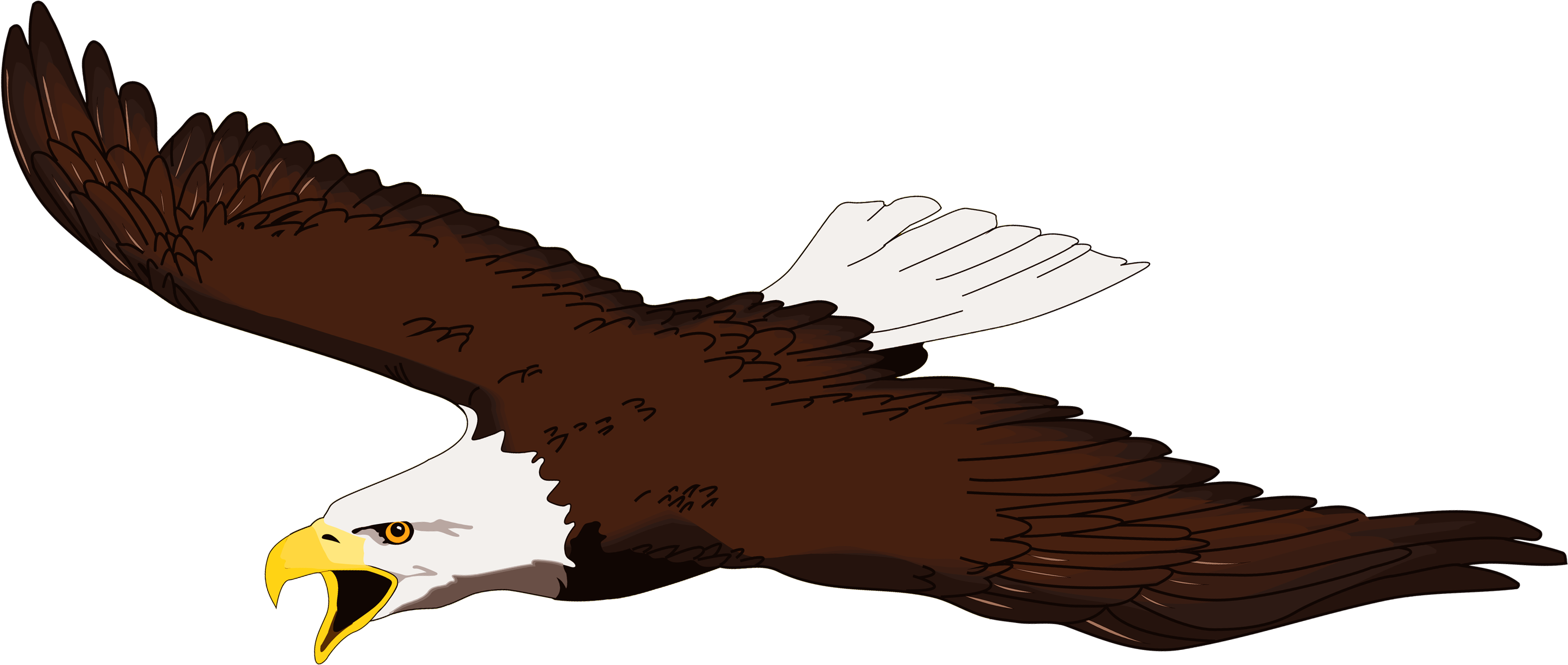 Cartoon Eagle Head Clip Art - เหยี่ยว การ์ตูน Png (3407x1678)