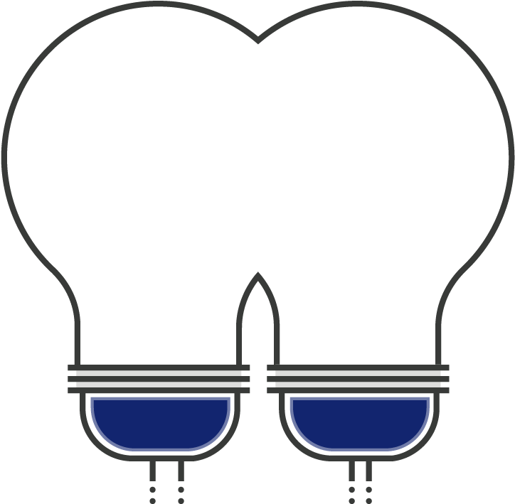 Mentors And Coaches We've Trained - Retinal Development (772x788)